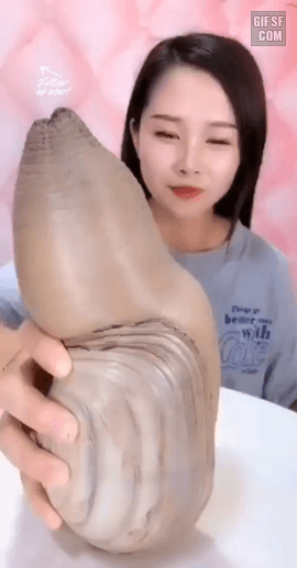 17450649119598.gif