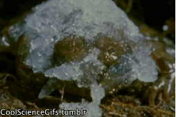 17459289191715.gif