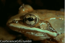 17459289194405.gif