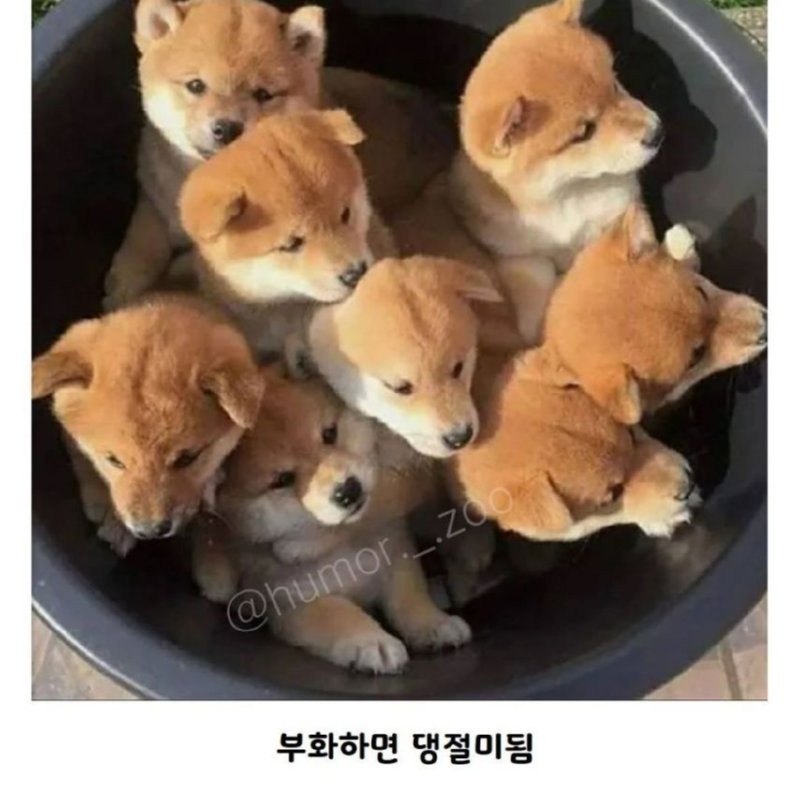 17461881073845.png