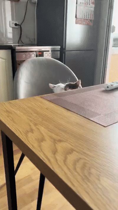 17461881203828.gif