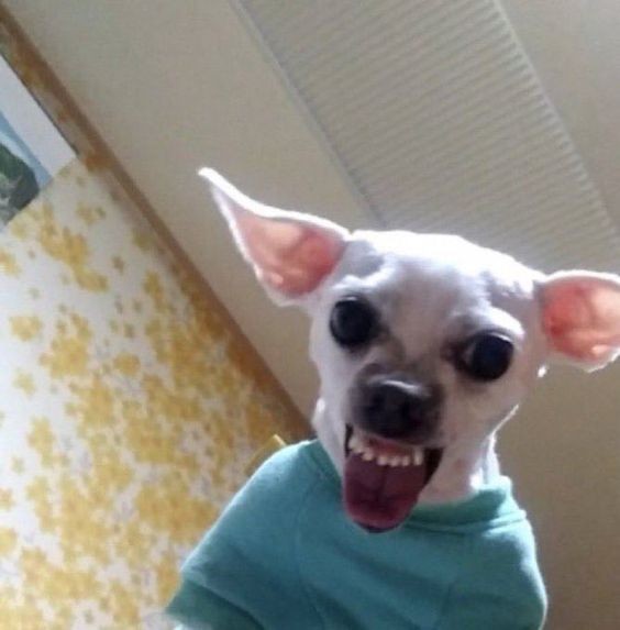 17465409072934.jpeg