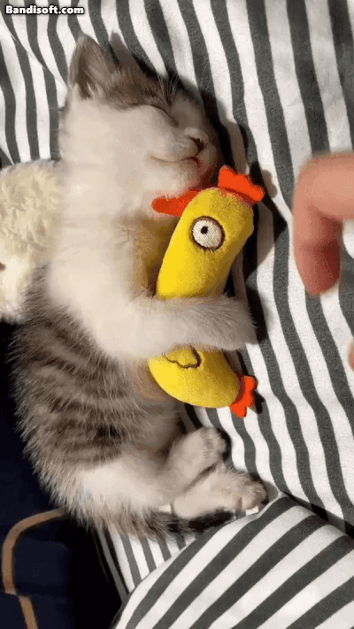 17467857234694.gif