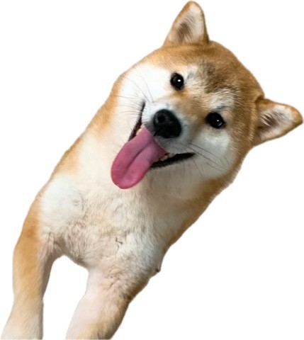 17470449027128.jpeg