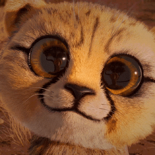 17497377135884.gif