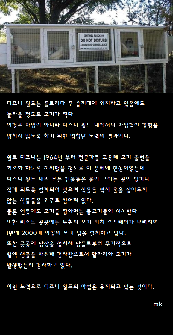 17503146083075.png