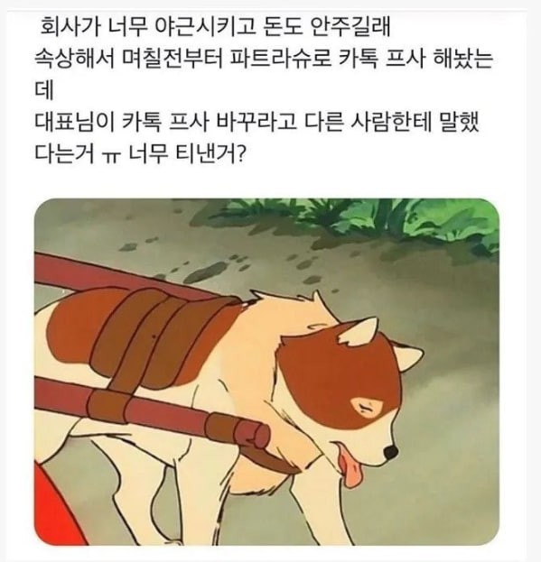 17510418189099.jpg