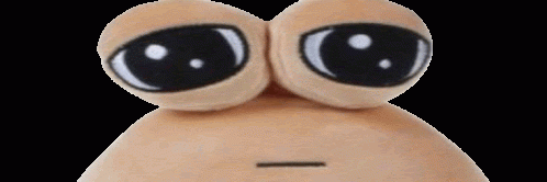 17514666131425.gif