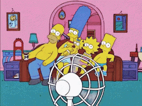 17531649137506.gif