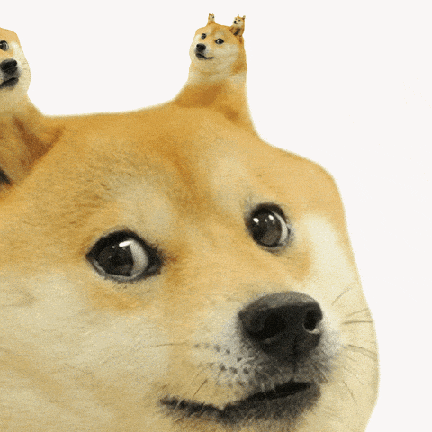 17531937120483.gif