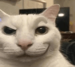 1753798510257.gif