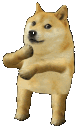 17539569132967.gif