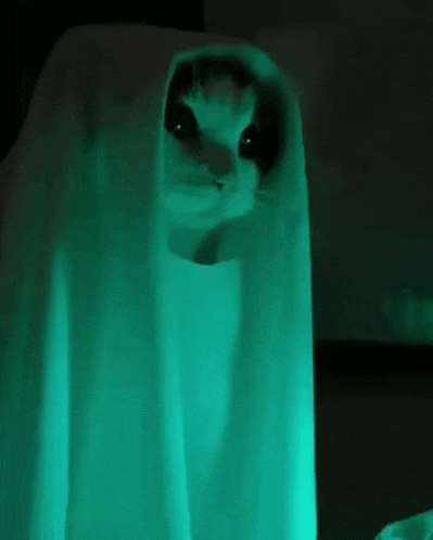 17543097097108.gif