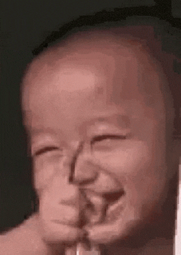17544762035979.gif