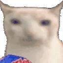 17546490186628.gif