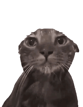 17550882095311.gif