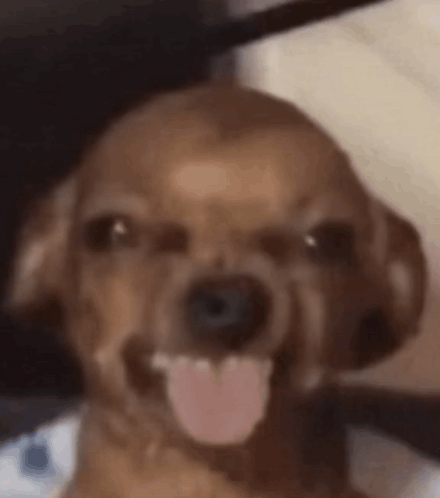 17568945117491.gif