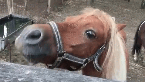 17569674167917.gif