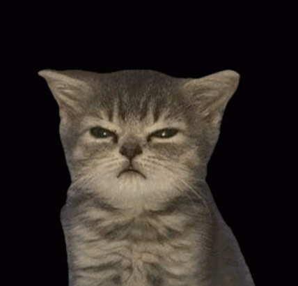 17597457081248.gif