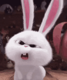 17598393041014.gif